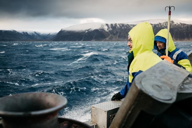 Red king crabs have been caught along the Norwegian coast since the 1960s. Fishing in the Barents Sea is one of the most dangerous jobs in Norway.