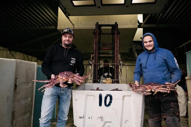 Lyder (left) and his son, Matz Vegar are reviving the small fishing village of Veidnes. Thanks to expert logistical support, Lyder says it’s possible for the Norwegian king crabs to arrive fresh around the world.