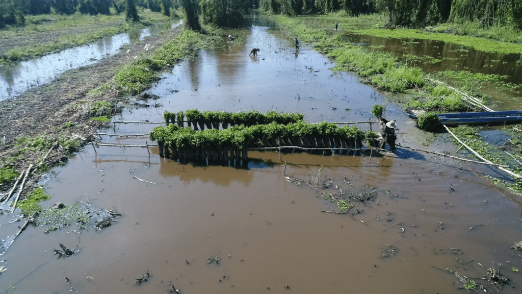 An aerial shot of the plantation process in GIZ’s Vietnam tree planting initiative