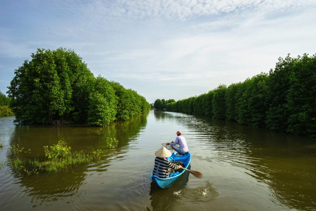 Trees act as natural barriers against coastal and river erosion.