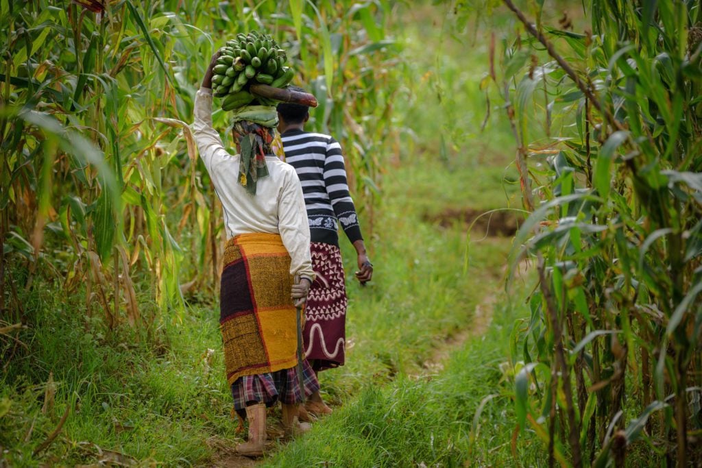 Village women walking through the farm fields of Uganda