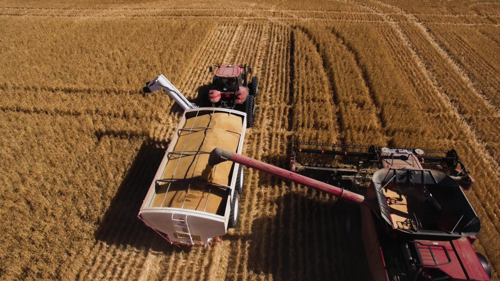 Australia is a major exporter of barley.