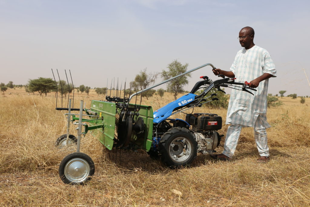 A farmer cutting grass in a rural field near Louga, north of Senegal