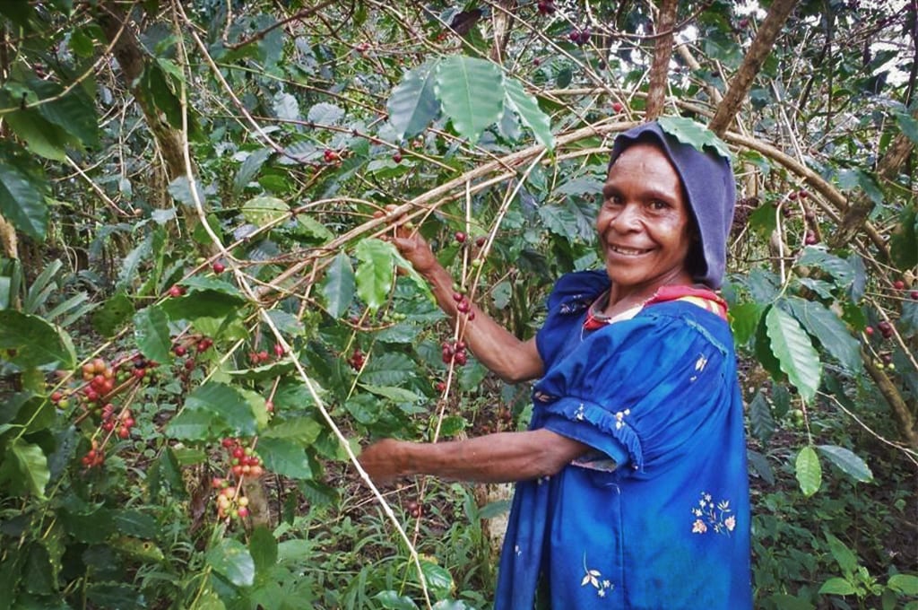 Papua New Guinea coffee farmers