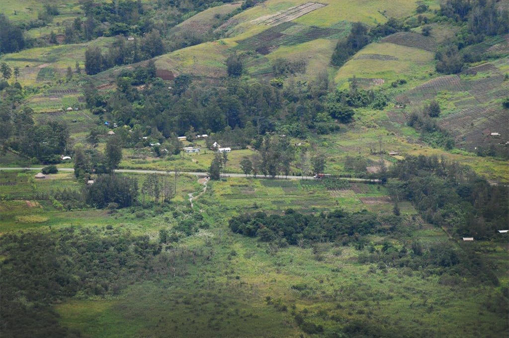 Waghi Valley Mount Hagen coffee