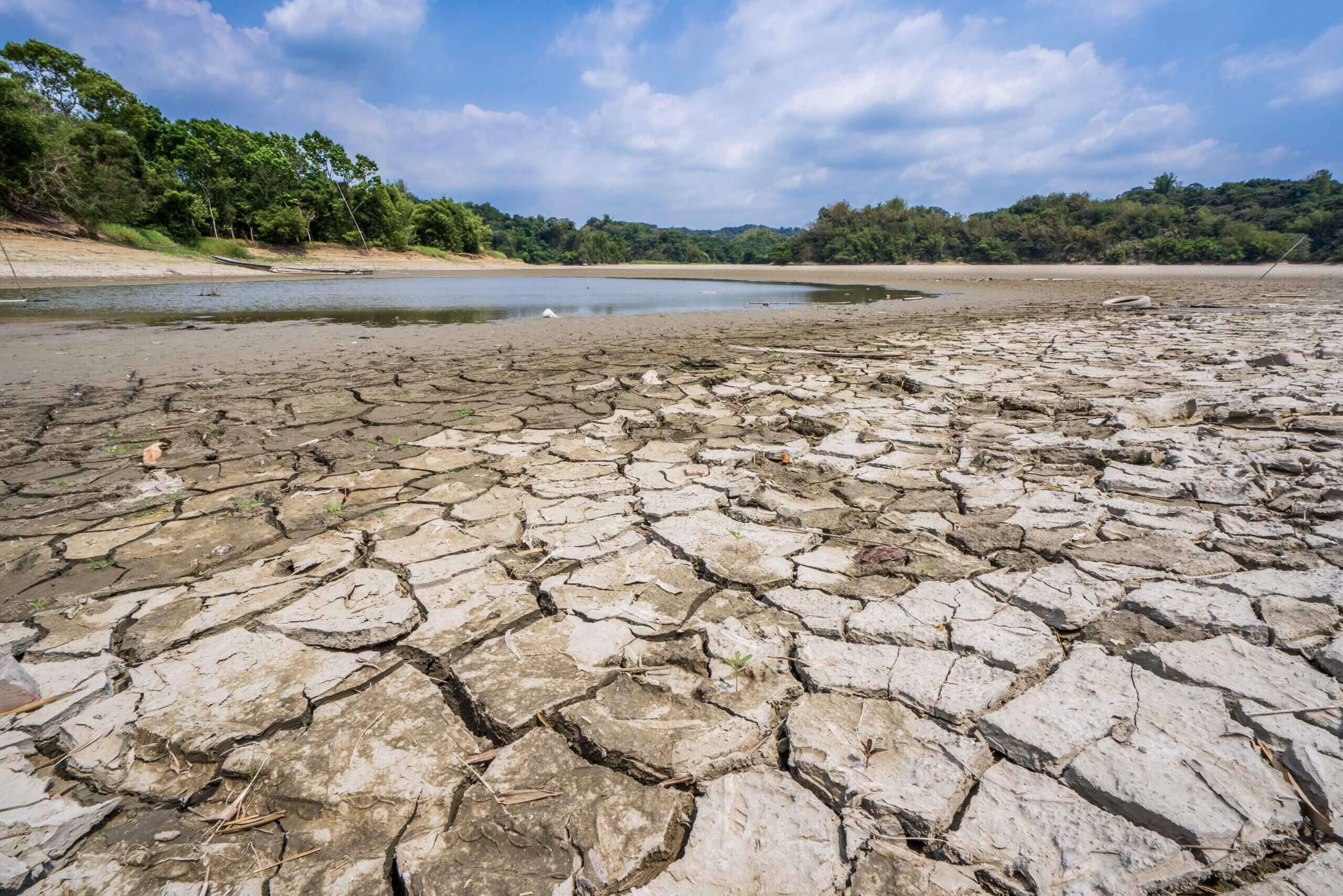 Taiwan was hit with one of its worst droughts in 56 years.