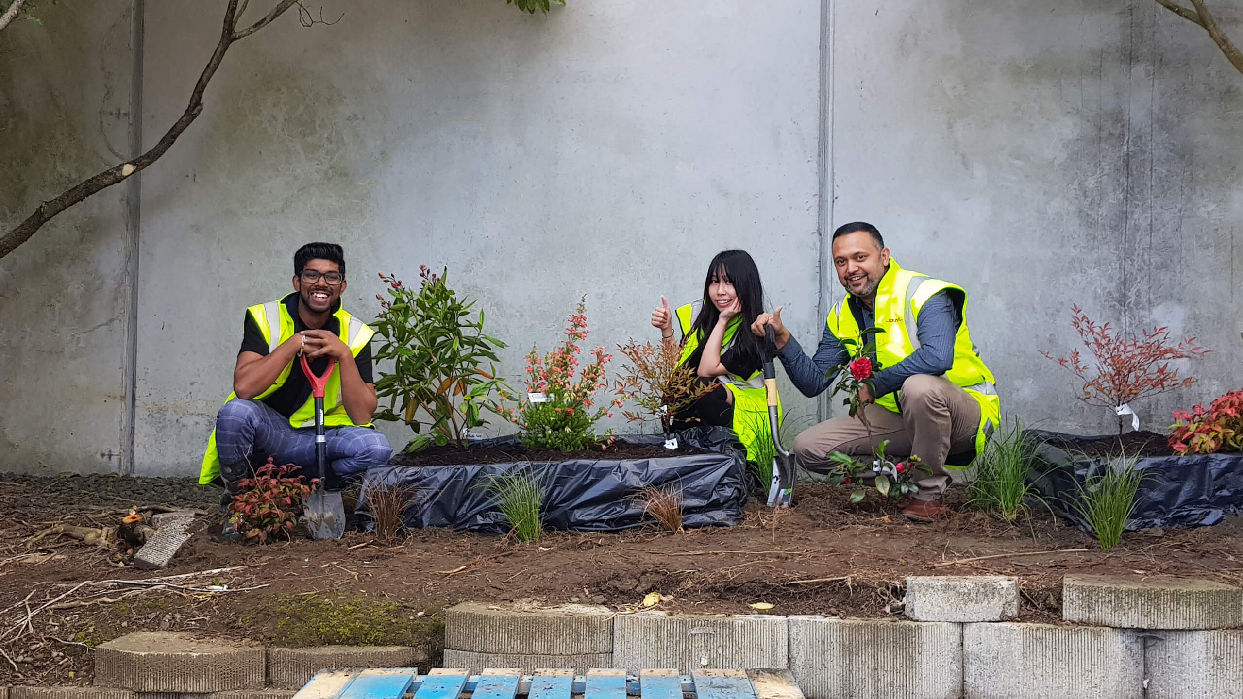 DHL employees came together to plant wildflower beds on World Bee Day in planters built with upcycled old or broken pallets