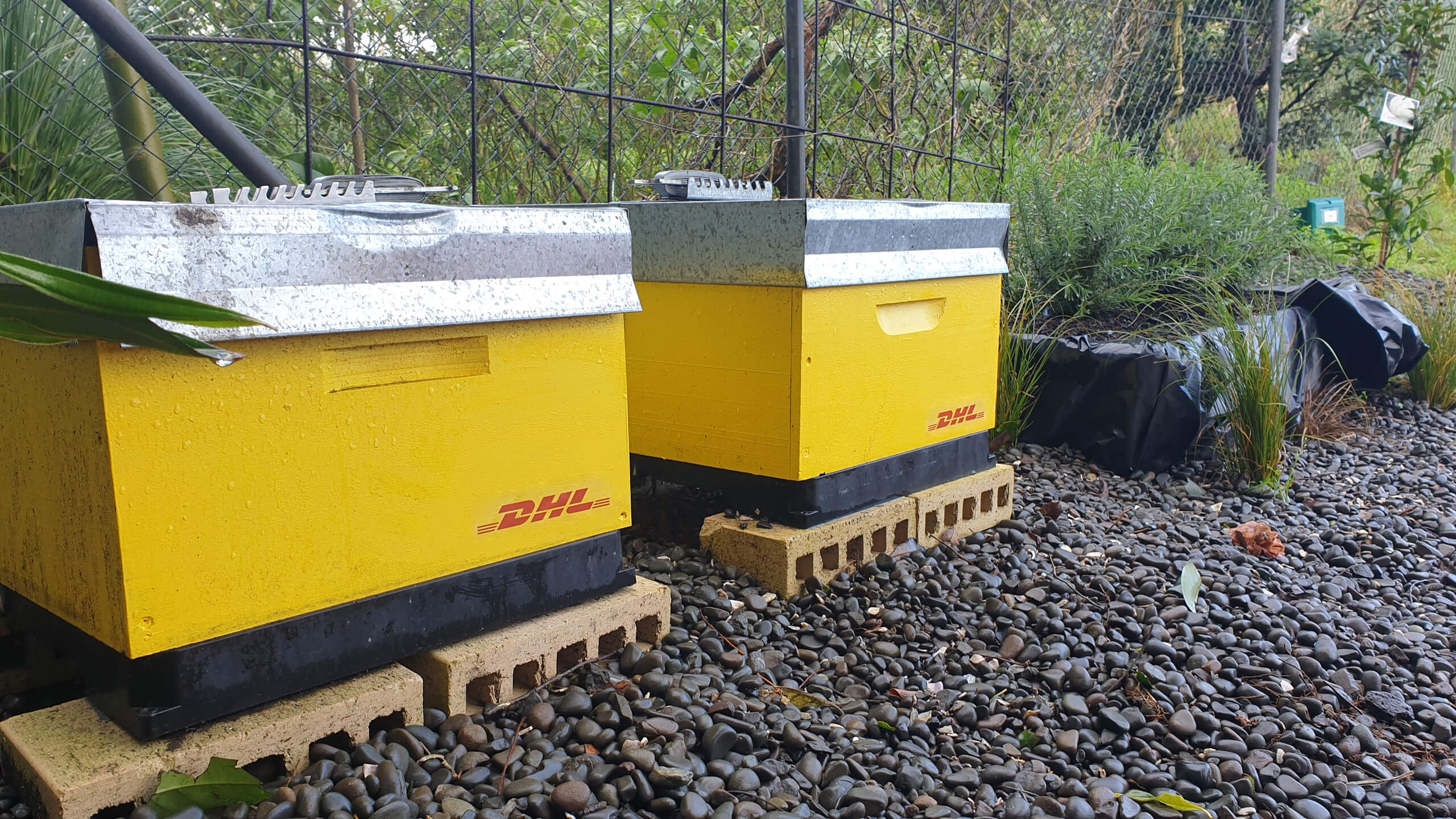 Beehives at DHL Supply Chain's warehouses are part of the logistics firm's sustainability initiative, Project Bloom. 