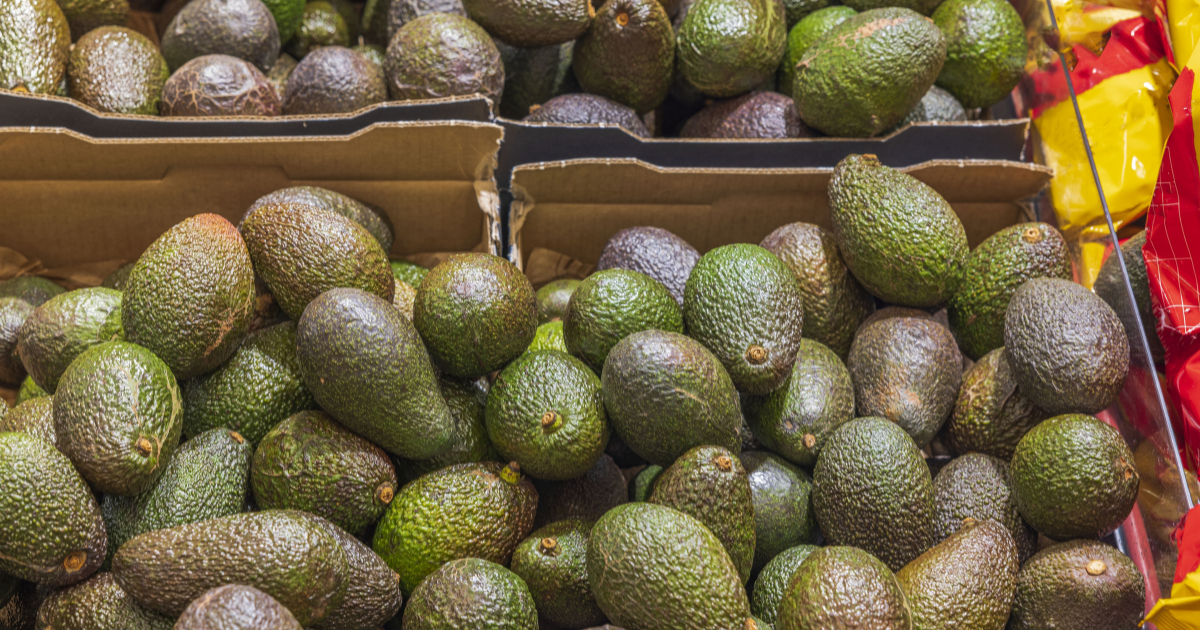 By 2030, avocados are expected to become the world’s most exported tropical fruit.