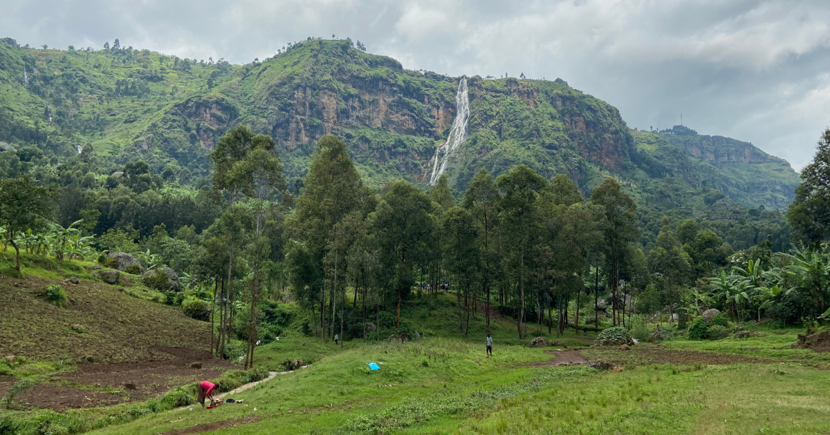 Bushbucks' coffee farms are located on Mount Elgon, an extinct shield volcano at the extremely high altitude of 4100-5600 feet.