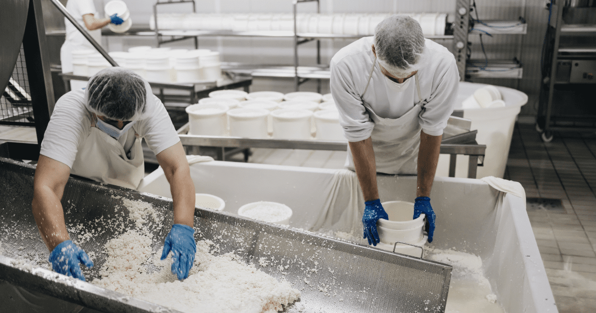 Employees working in a dairy by-product production line. (Image: Shutterstock) 