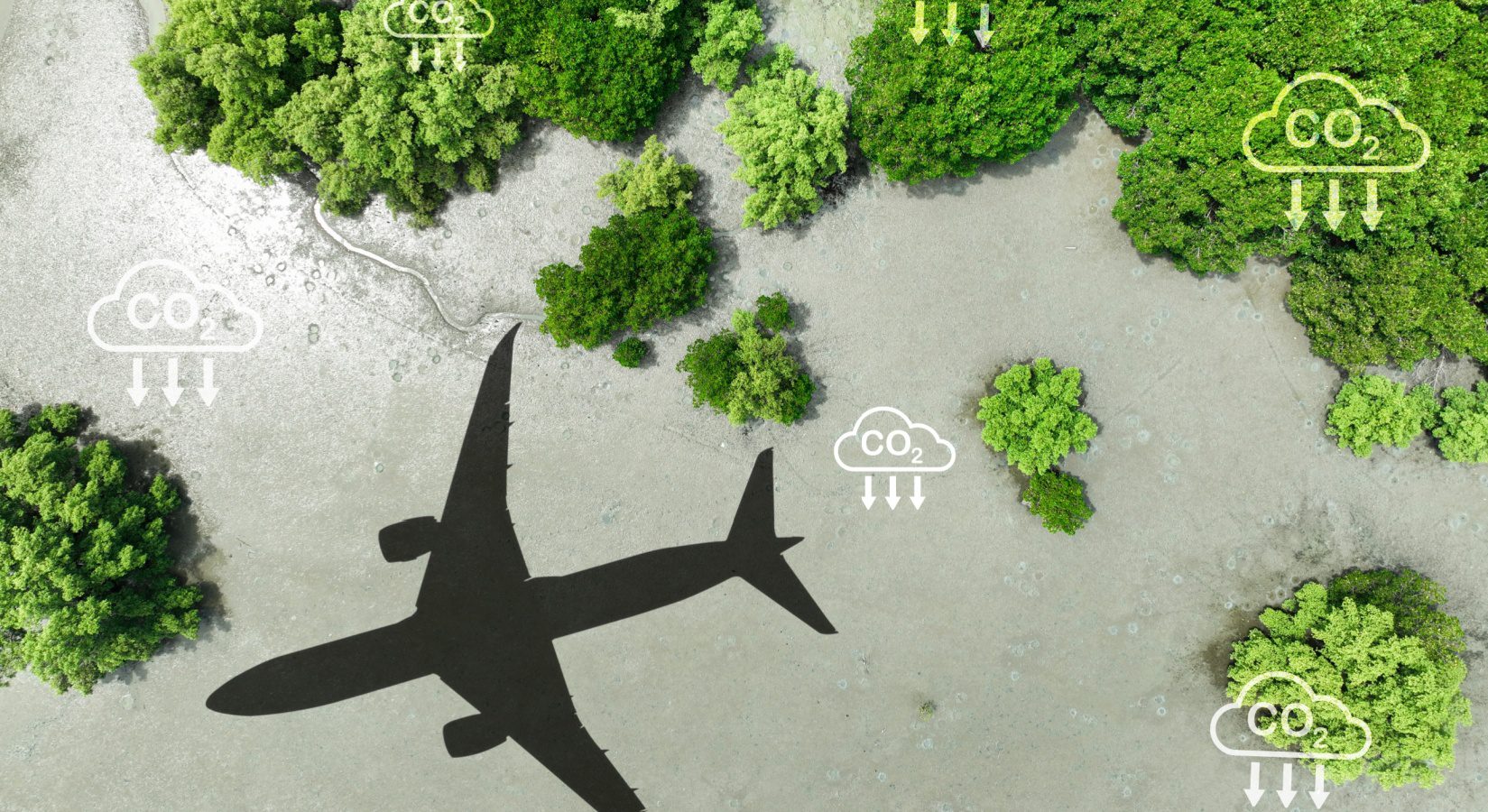 Carriers that can offer credible low-carbon options gain a competitive edge